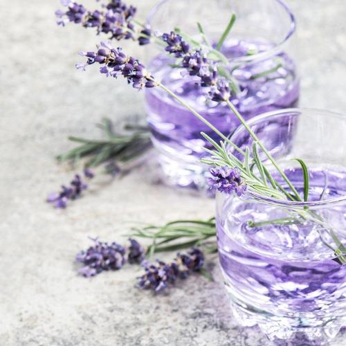 Blueberry Lavender Sprizter
